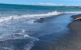 Urenui Beach Bach
